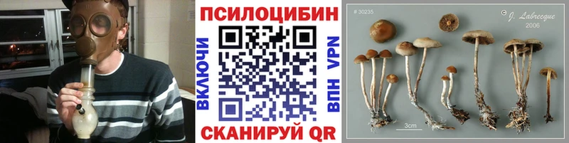 купить закладку Слюдянка Псилоцибиновые грибы Psilocybine cubensis